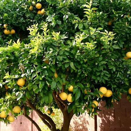 Lemon Tree Hotel Seget Donji ภายนอก รูปภาพ