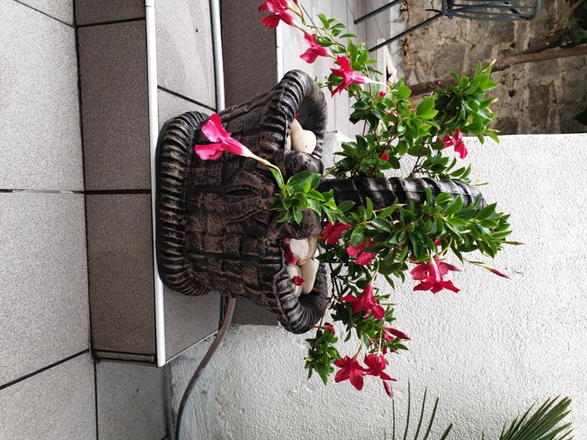Lemon Tree Hotel Seget Donji ภายนอก รูปภาพ